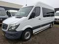 Mercedes-Benz Sprinter 313CDI 9995.- INCL BTW MOTOR KAPOT 9-PERSOONS ROLS Alb - thumbnail 15