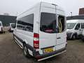 Mercedes-Benz Sprinter 313CDI 9995.- INCL BTW MOTOR KAPOT 9-PERSOONS ROLS Alb - thumbnail 6