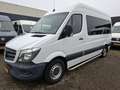 Mercedes-Benz Sprinter 313CDI 9995.- INCL BTW MOTOR KAPOT 9-PERSOONS ROLS Alb - thumbnail 1