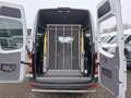 Mercedes-Benz Sprinter 313CDI 9995.- INCL BTW MOTOR KAPOT 9-PERSOONS ROLS Alb - thumbnail 14