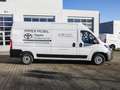 Toyota Proace Max 2.2D L3H2 Work KLIMA PDC KAMERA Weiß - thumbnail 3