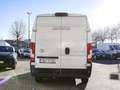 Toyota Proace Max 2.2D L3H2 Work KLIMA PDC KAMERA Weiß - thumbnail 4