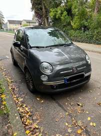 Cult Sportausstattung Vollleder