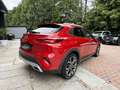 Kia XCeed Spirit 1.Hand 8-Fach Sitheizung Lenkradh. Roşu - thumbnail 5