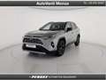 Toyota RAV 4 RAV4 2.5 HV (222CV) E-CVT AWD-i Style Argento - thumbnail 1