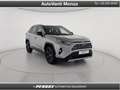 Toyota RAV 4 RAV4 2.5 HV (222CV) E-CVT AWD-i Style Argento - thumbnail 7