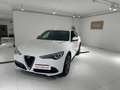 Alfa Romeo Stelvio 2.2 Turbo Rosso Edizione Weiß - thumbnail 1