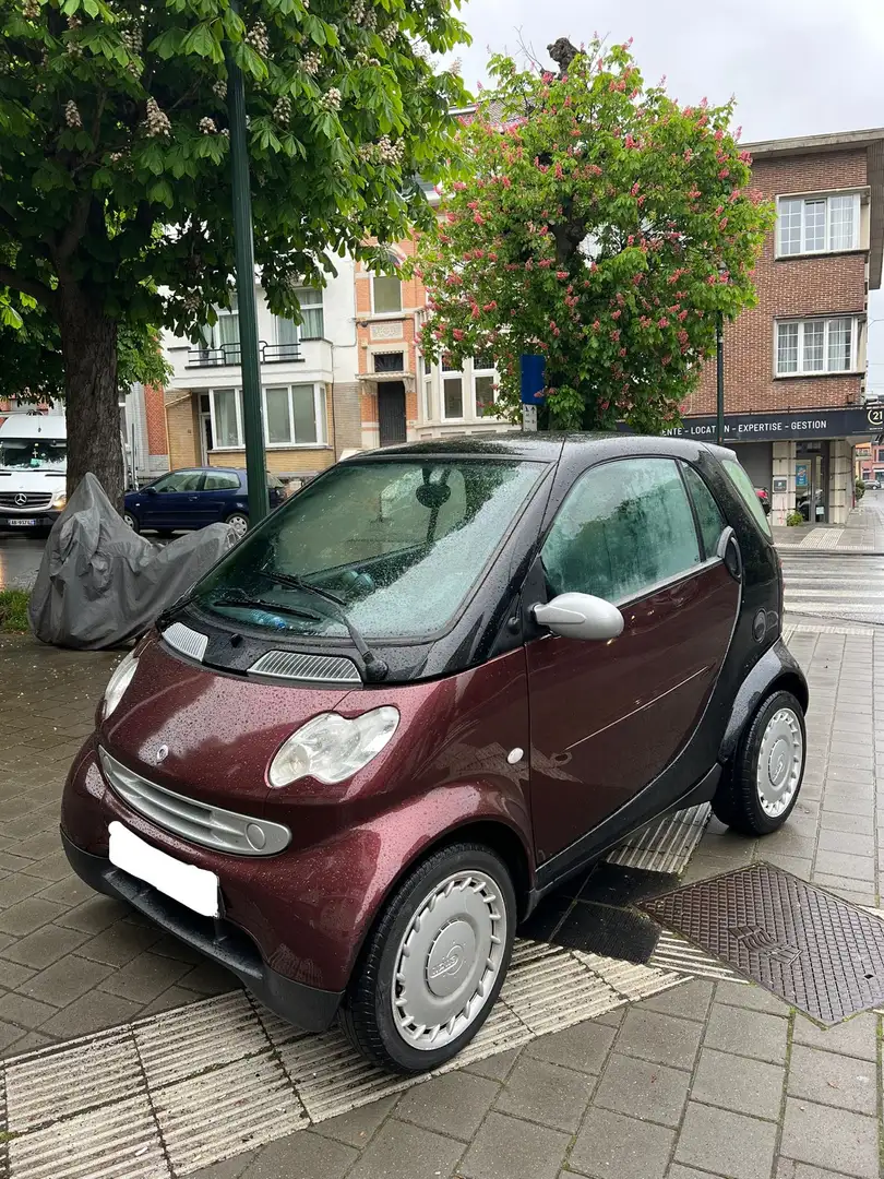 smart city-coupé/city-cabrio 0.6 Turbo & Passion - prête à l’immatriculatio Rojo - 1