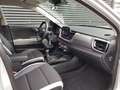 Kia Stonic Platinum 100PK Gris - thumbnail 8