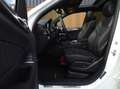 Mercedes-Benz GLE 500 500e 4M. 442PK AMG Sport Designo Ed. / LED Alb - thumbnail 13