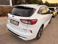 Ford Kuga 2.5 Duratec FHEV ST-Line AWD Aut. Blanco - thumbnail 5