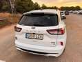 Ford Kuga 2.5 Duratec FHEV ST-Line AWD Aut. Blanco - thumbnail 6
