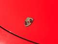Porsche Cayman 3.4 S Rot - thumbnail 25