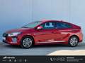 Hyundai IONIQ 1.6 GDi PHEV Plug-In Comfort Automaat / Navigatie Rood - thumbnail 1