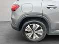 Mercedes-Benz EQA EQA Gris - thumbnail 29
