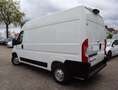 Citroen Jumper L2H2 BlueHDi/ Kamera/Spur-Assi/Navi/Klima Blanc - thumbnail 20