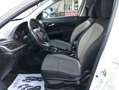 Fiat Tipo TIPO 1.4 GPL Opening Edition 95cv TAGLIANDI!! Bianco - thumbnail 9