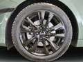 Kia ProCeed / pro_cee'd 1.5 T-GDI GT-Line El. Panodach Navi Leder Soundsys Grün - thumbnail 4