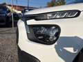 Citroen C3 1.2 PureTech 82 Feel (EURO 6d) Weiß - thumbnail 15