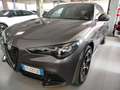 Alfa Romeo Stelvio 2.2 Turbodiesel 210 CV Q4 Veloce SUPERPROMO Gri - thumbnail 3