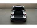Audi Sonstige Weiß - thumbnail 10