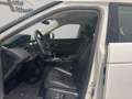 Land Rover Range Rover Evoque S Aut. AWD KAM LED CARPL TEMP Weiß - thumbnail 7