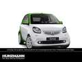 smart forTwo cabrio electric drive passion Cool&Media Weiß - thumbnail 5
