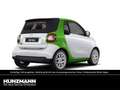 smart forTwo cabrio electric drive passion Cool&Media Weiß - thumbnail 3