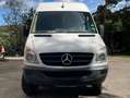 Mercedes-Benz Sprinter Sprinter 315 CDI HD 3,5 t / 3.665 mm Weiß - thumbnail 1