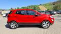 Ford EcoSport 1.5 Ecoblue 95 CV SeS UNICO PROPRIETARIO Rosso - thumbnail 6