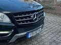 Mercedes-Benz ML 250 ML 250 BlueTEC 4MATIC 7G-TRONIC Schwarz - thumbnail 2