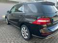 Mercedes-Benz ML 250 ML 250 BlueTEC 4MATIC 7G-TRONIC Schwarz - thumbnail 8