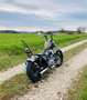 Harley-Davidson Sportster 1200 Custom Umbau Ratbike Negru - thumbnail 2