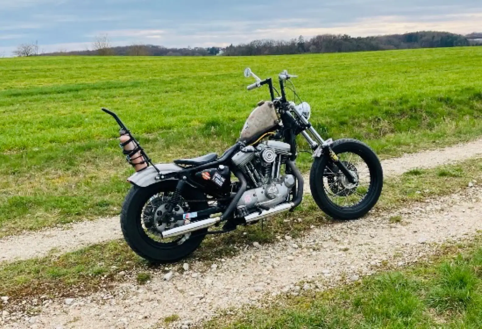 Harley-Davidson Sportster 1200 Custom Umbau Ratbike Noir - 1