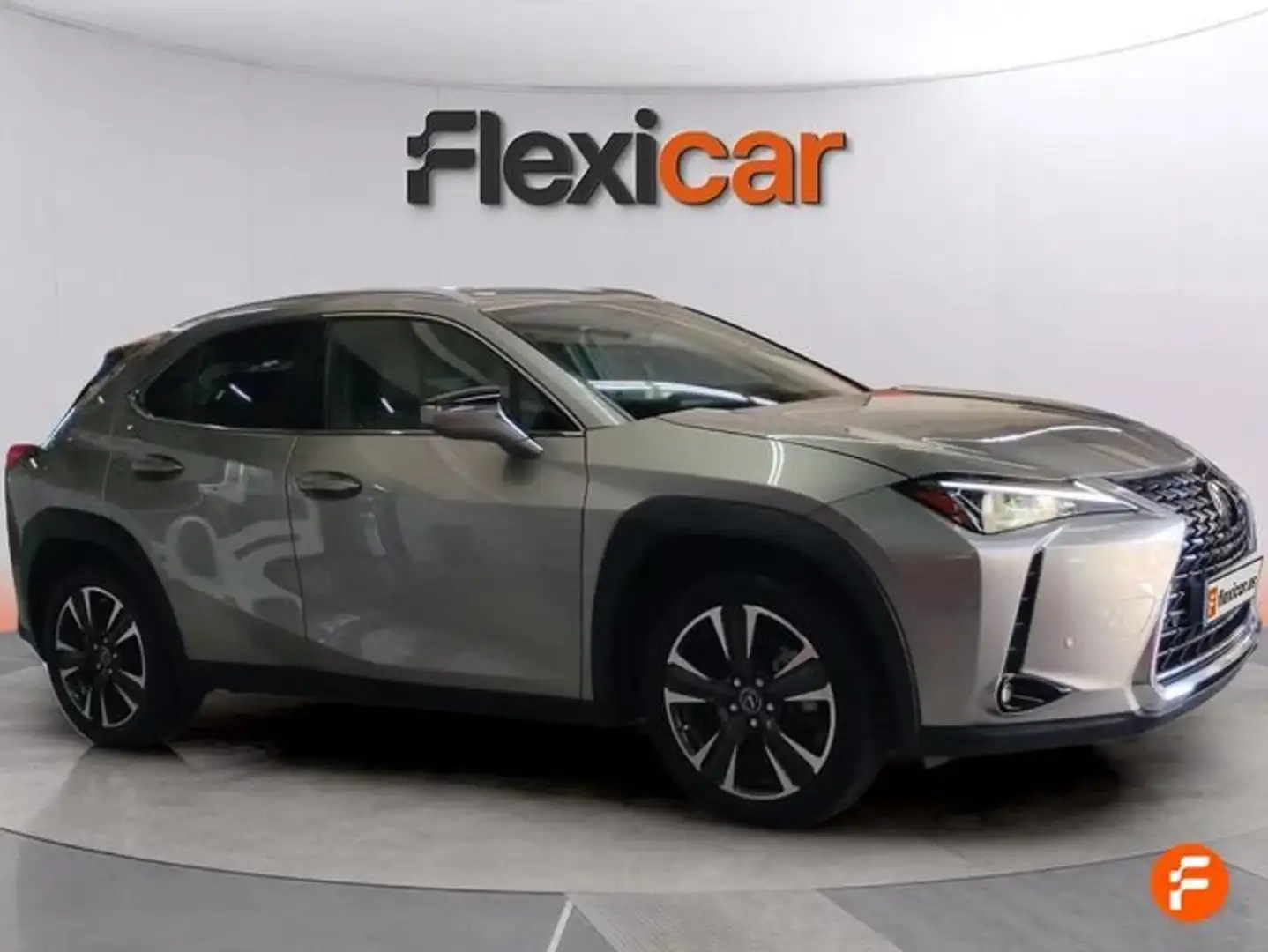 Lexus UX 250h 2.0 Business Gris - 1