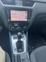 Skoda Octavia Octavia Wagon 1.6 tdi Executive 115cv dsg Argento - thumbnail 13