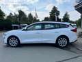 Ford Focus TREND, Klima, LM-Felgen, Reeling Weiß - thumbnail 4