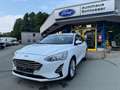 Ford Focus TREND, Klima, LM-Felgen, Reeling Weiß - thumbnail 3