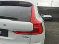 Volvo XC60 Plus Bright Recharge Plug-In Hybrid AWD T8 Twin En Weiß - thumbnail 13