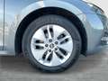 Skoda Octavia Ambition TDI Grau - thumbnail 8