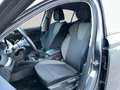 Skoda Octavia Ambition TDI Grau - thumbnail 25