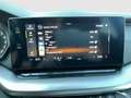 Skoda Octavia Ambition TDI Grau - thumbnail 23