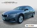 Skoda Octavia Ambition TDI Grau - thumbnail 1