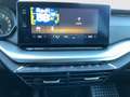 Skoda Octavia Ambition TDI Grau - thumbnail 19