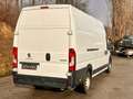 Peugeot Boxer 435 L4H3 Pro BlueHDi 165 Stop / Klima / Diesel Weiß - thumbnail 10