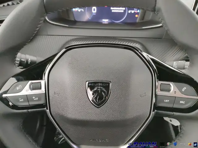 Peugeot 2008 view 12