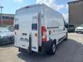 Fiat Ducato 2.3 MJT 35 LH2 SPONDA Bianco - thumbnail 3