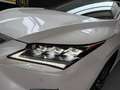 Lexus RX 450h Executive Blanc - thumbnail 19