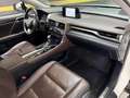 Lexus RX 450h Executive Blanc - thumbnail 30