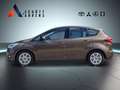 Ford C-Max Business Edition 1.0 EcoBoost Braun - thumbnail 2
